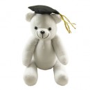 Graduation Bear
